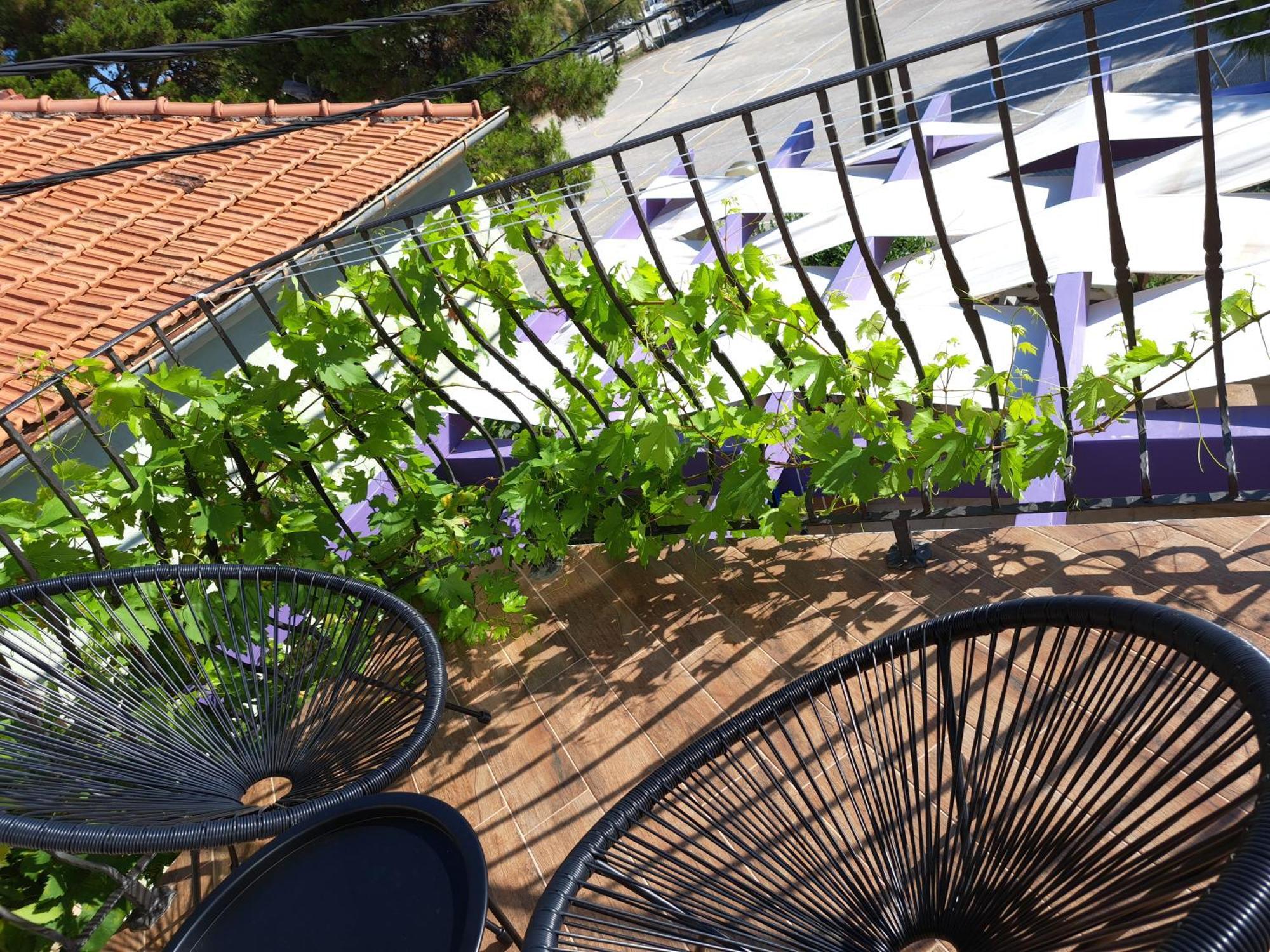 Jardin Kapetanova Kuca Lejlighed Veli Iž Eksteriør billede